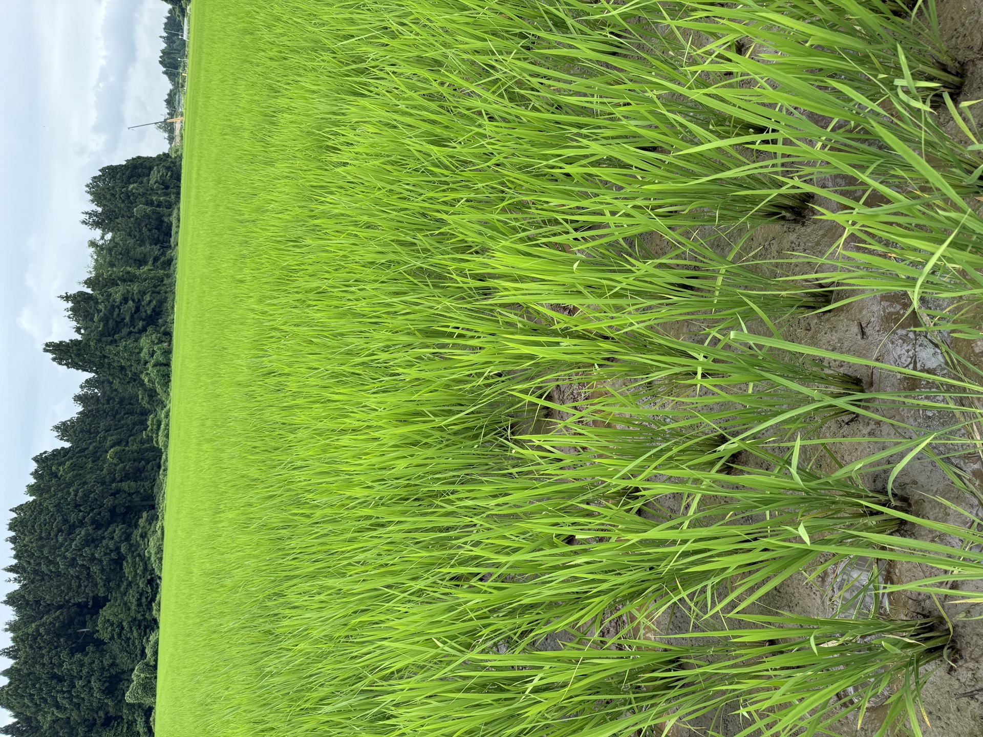 Field research photo 33